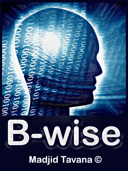 B-wise Program